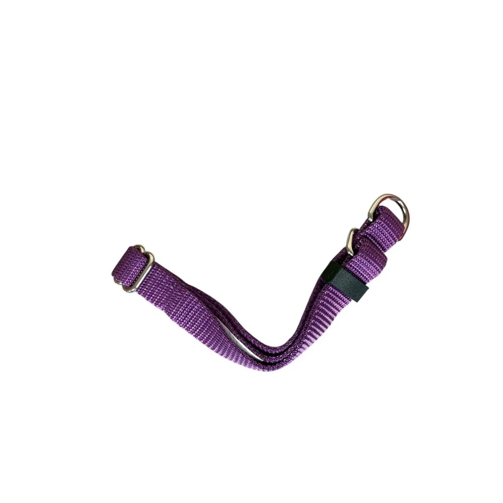 Hatfield Pet Specialties Control Collar Small Purple New Alpine 5/8 x 8-12